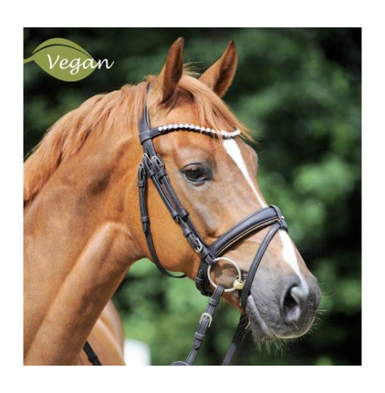 Ogłowie Korkowe Cortica Kavalkade