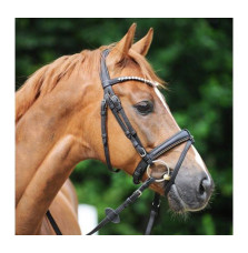 Ogłowie Korkowe Cortica Kavalkade