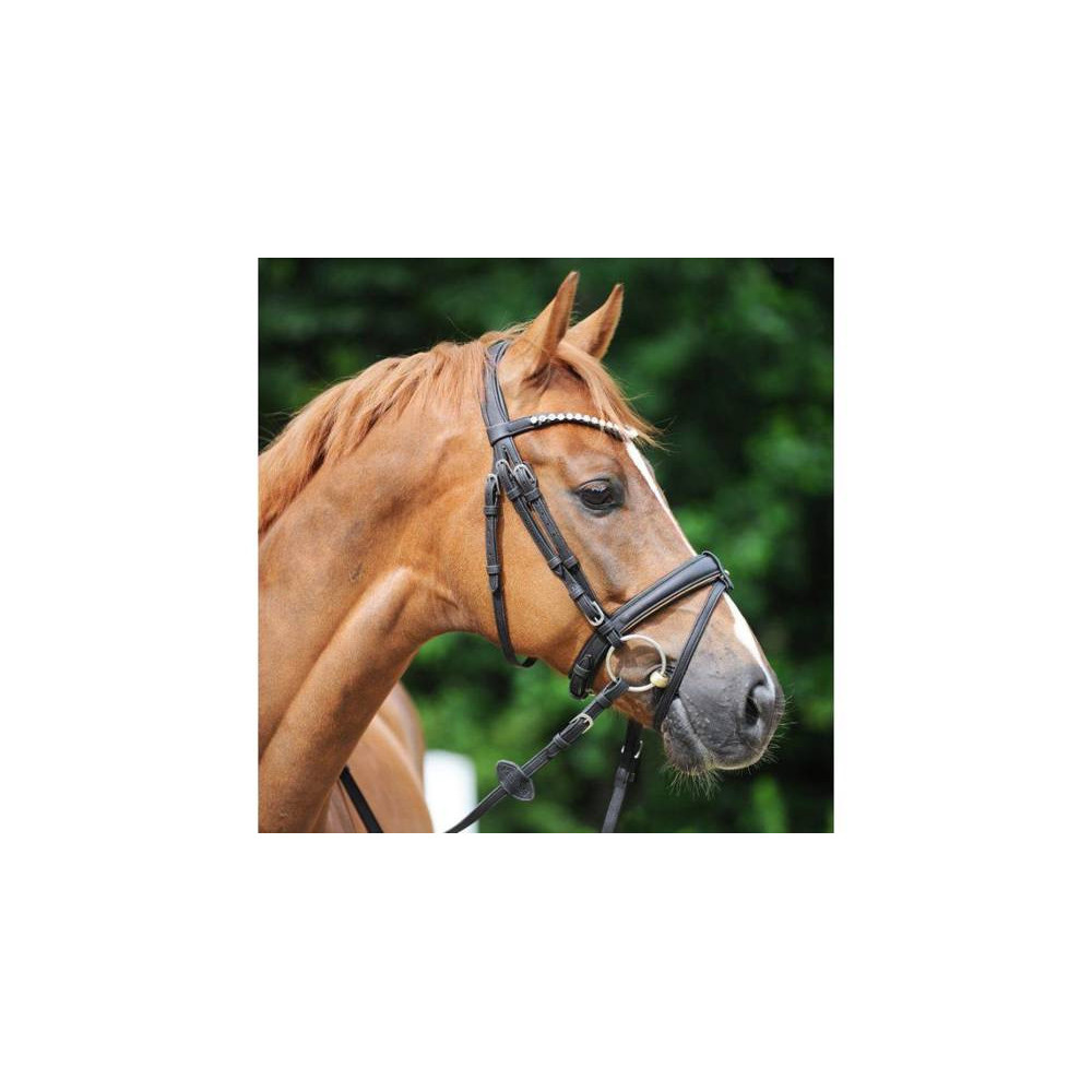 Ogłowie Korkowe Cortica Kavalkade