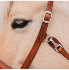 Ogłowie Bezwędzidłowe Sidepull Musa FR Equestrian