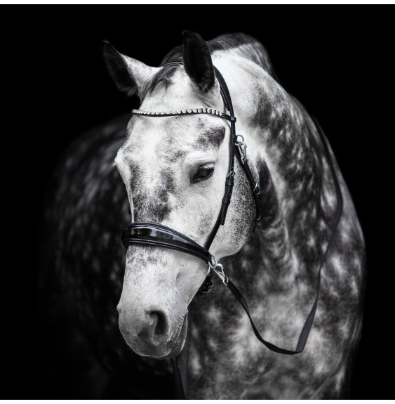 Ogłowie Bezwędzidłowe Multi-Bridle Lola FR Equestrian