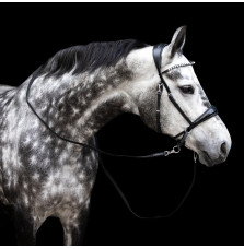 Ogłowie Bezwędzidłowe Multi-Bridle Lola FR Equestrian