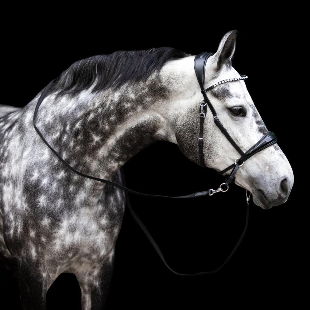 Ogłowie Bezwędzidłowe Multi-Bridle Lola FR Equestrian