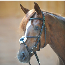 Ogłowie z Nachrapnikiem Meksykańskim Carlos Kavalkade