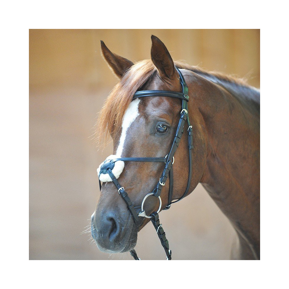 Ogłowie z Nachrapnikiem Meksykańskim Carlos Kavalkade