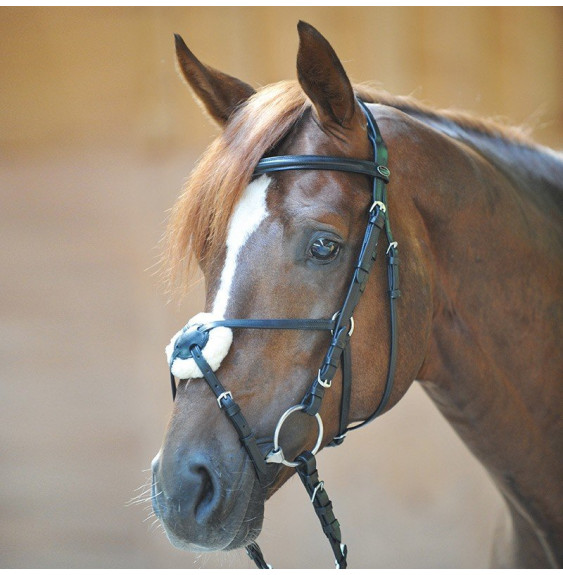 Ogłowie z Nachrapnikiem Meksykańskim Carlos Kavalkade
