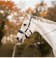 Ogłowie Hackamore Lily FR Equestrian