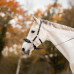 Ogłowie Hackamore Lily FR Equestrian