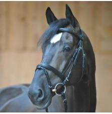 Ogłowie z Nachrapnikiem Kombinowanym Quentin Kavalkade
