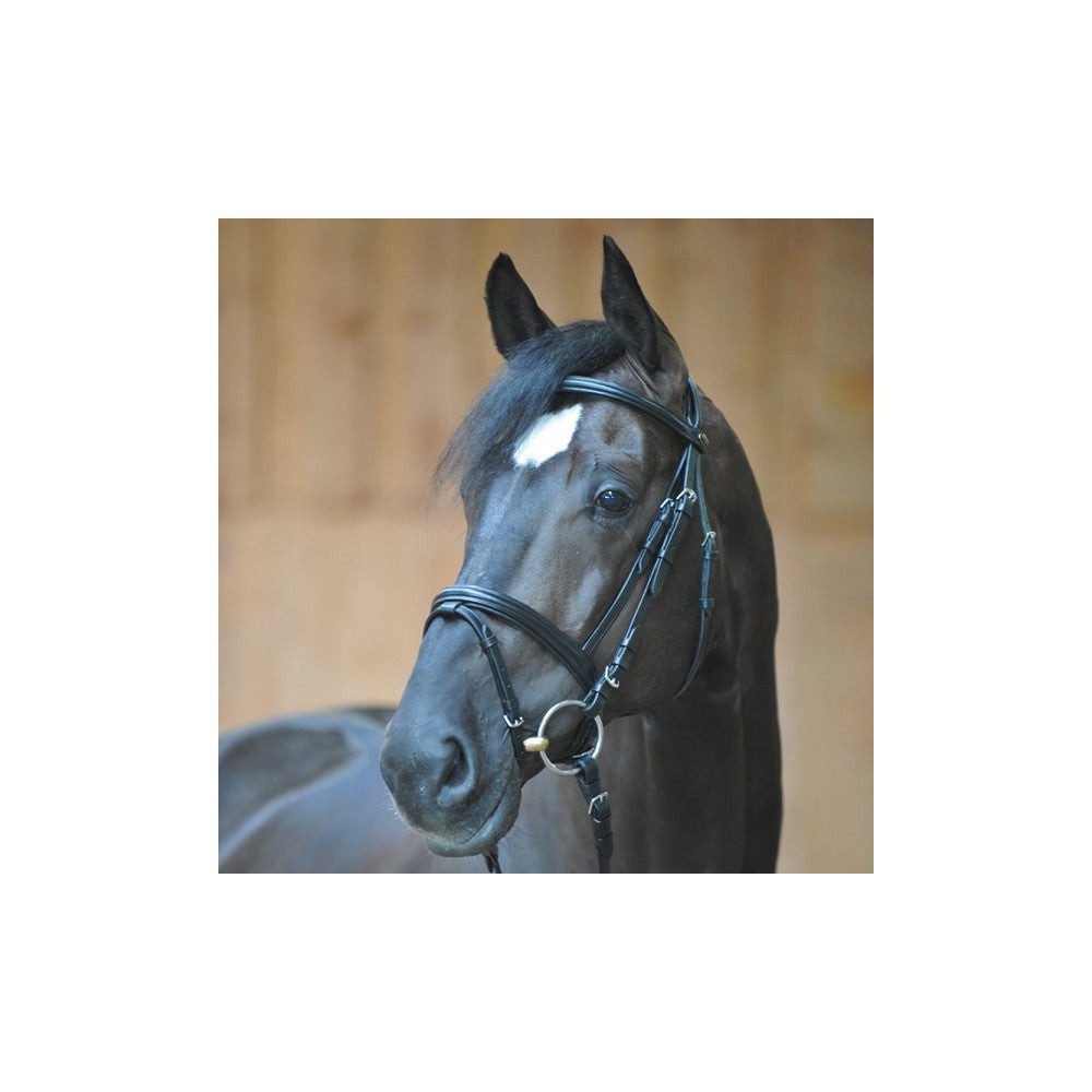 Ogłowie z Nachrapnikiem Kombinowanym Quentin Kavalkade