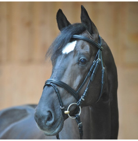Ogłowie z Nachrapnikiem Kombinowanym Quentin Kavalkade
