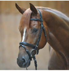 Ogłowie z Nachrapnikiem Kombinowanym Quentin Kavalkade
