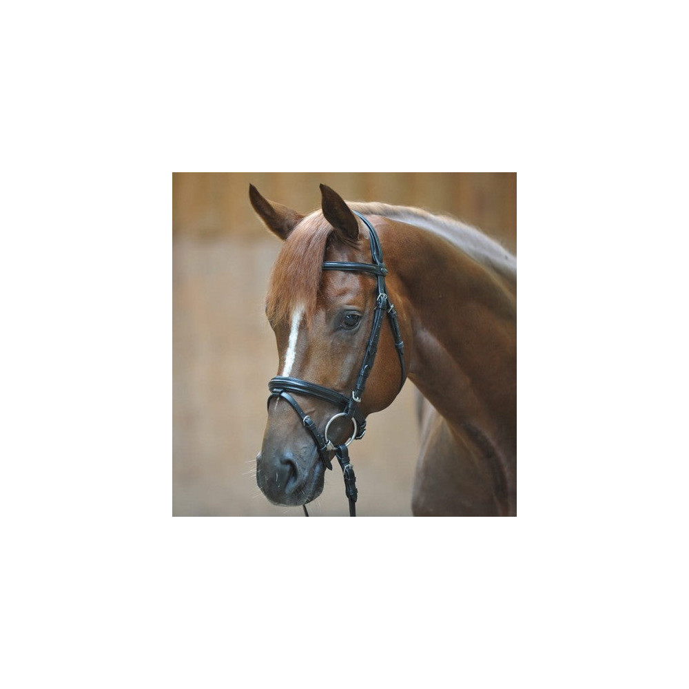 Ogłowie z Nachrapnikiem Kombinowanym Quentin Kavalkade