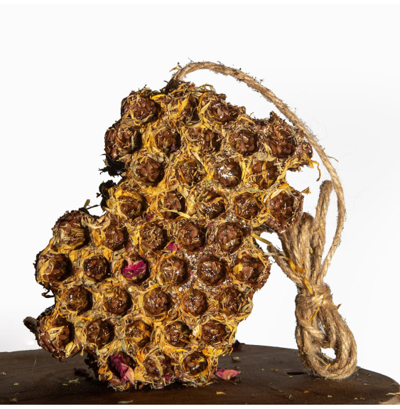 Gryzak Miodowy Nagietek Lipowy Gaj