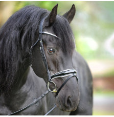 Ogłowie z Anatomicznym Nachrapnikiem Juliana Kavalkade