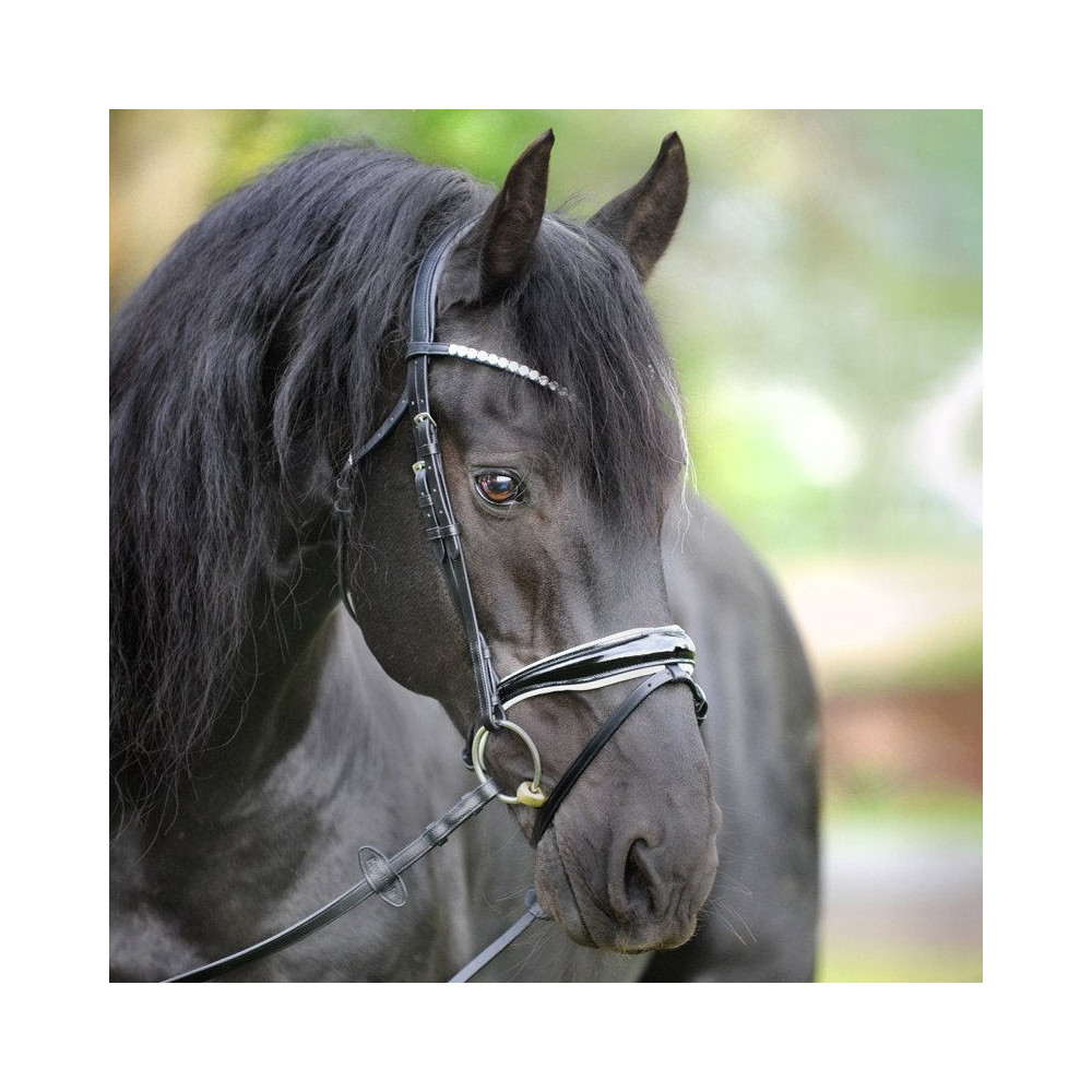 Ogłowie z Anatomicznym Nachrapnikiem Juliana Kavalkade