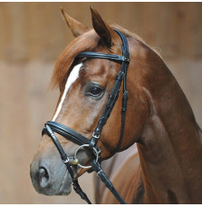 Ogłowie Ravenna Kavalkade