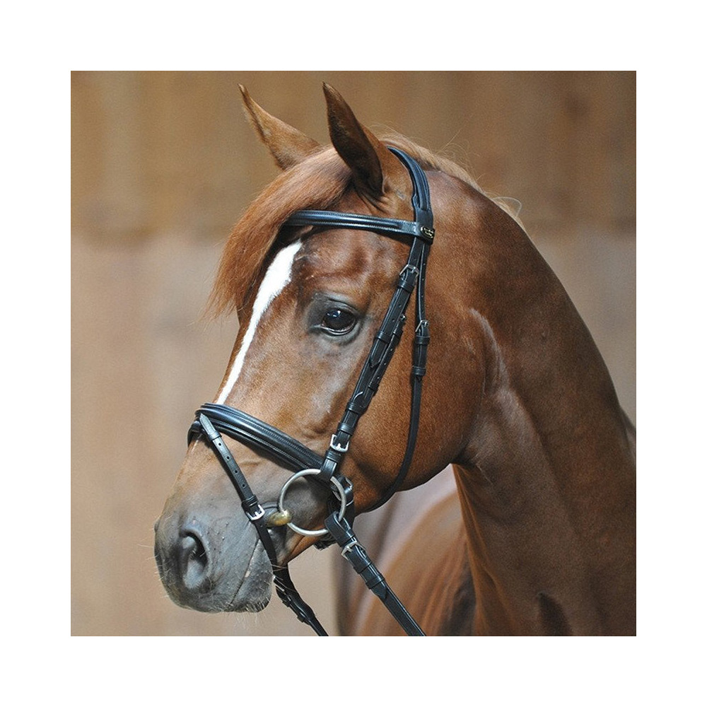 Ogłowie Ravenna Kavalkade