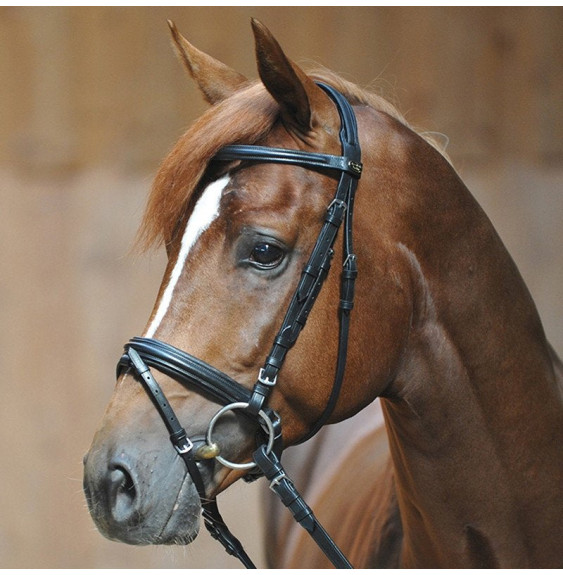 Ogłowie Ravenna Kavalkade