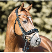 Ogłowie Lakierowane Ivella Kavalkade