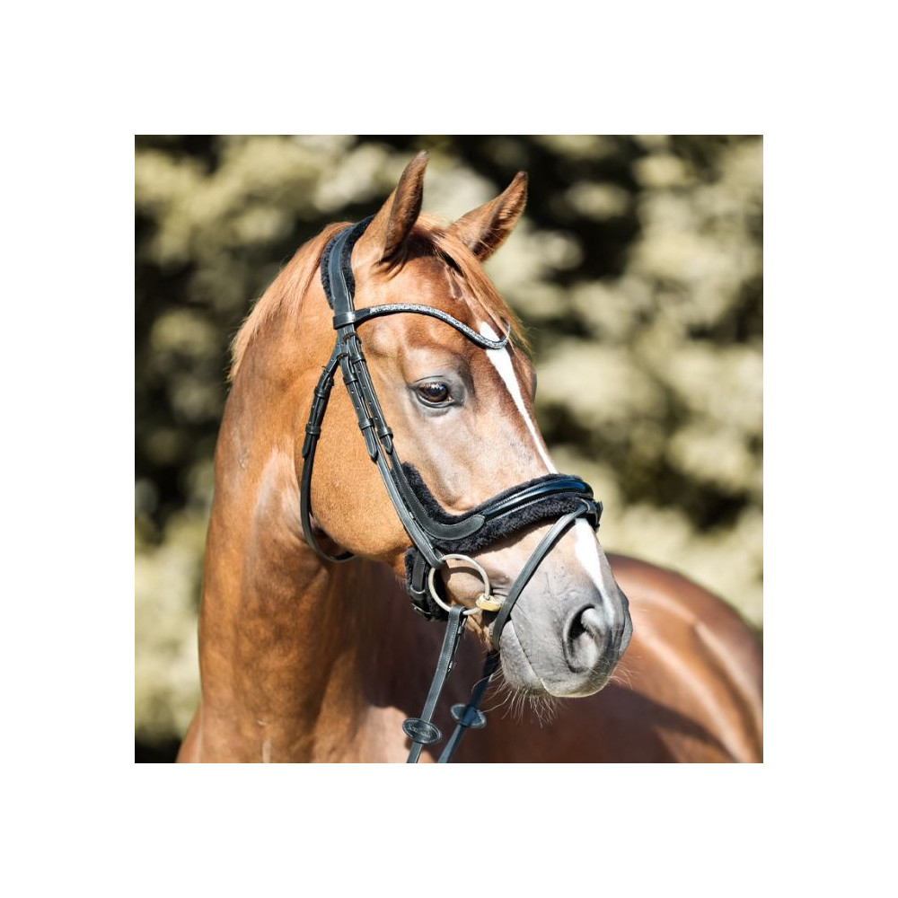 Ogłowie Lakierowane Ivella Kavalkade