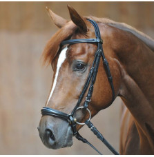 Ogłowie z Nachrapnikiem Hanowerskim Lina Kavalkade