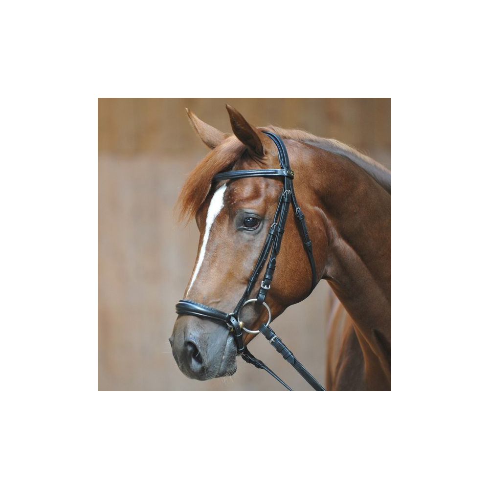 Ogłowie z Nachrapnikiem Hanowerskim Lina Kavalkade