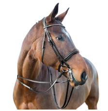 Ogłowie Munsztukowe Weymouth Horze