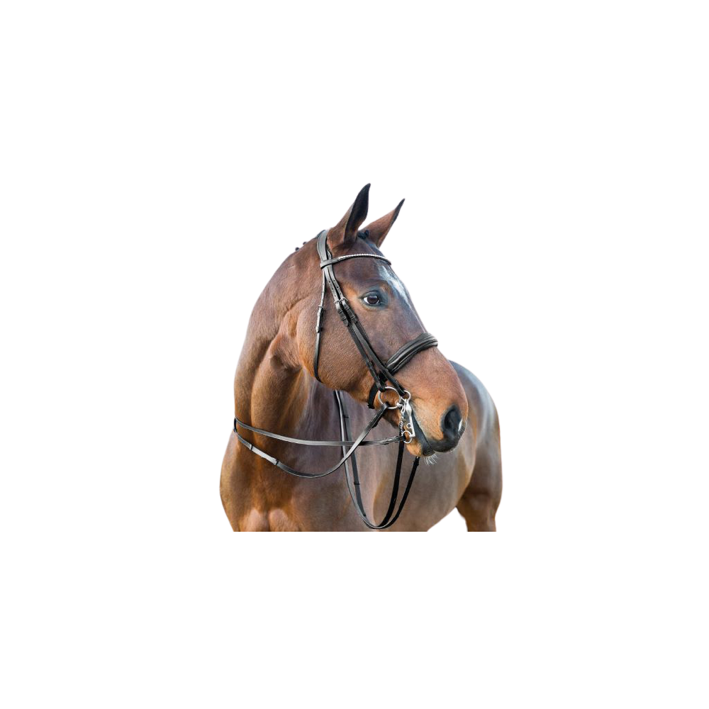 Ogłowie Munsztukowe Weymouth Horze