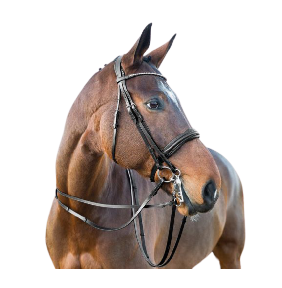 Ogłowie Munsztukowe Weymouth Horze