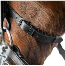 Ogłowie Munsztukowe Weymouth Horze