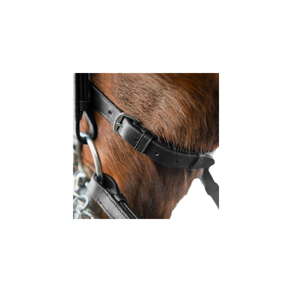 Ogłowie Munsztukowe Weymouth Horze