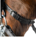 Ogłowie Munsztukowe Weymouth Horze
