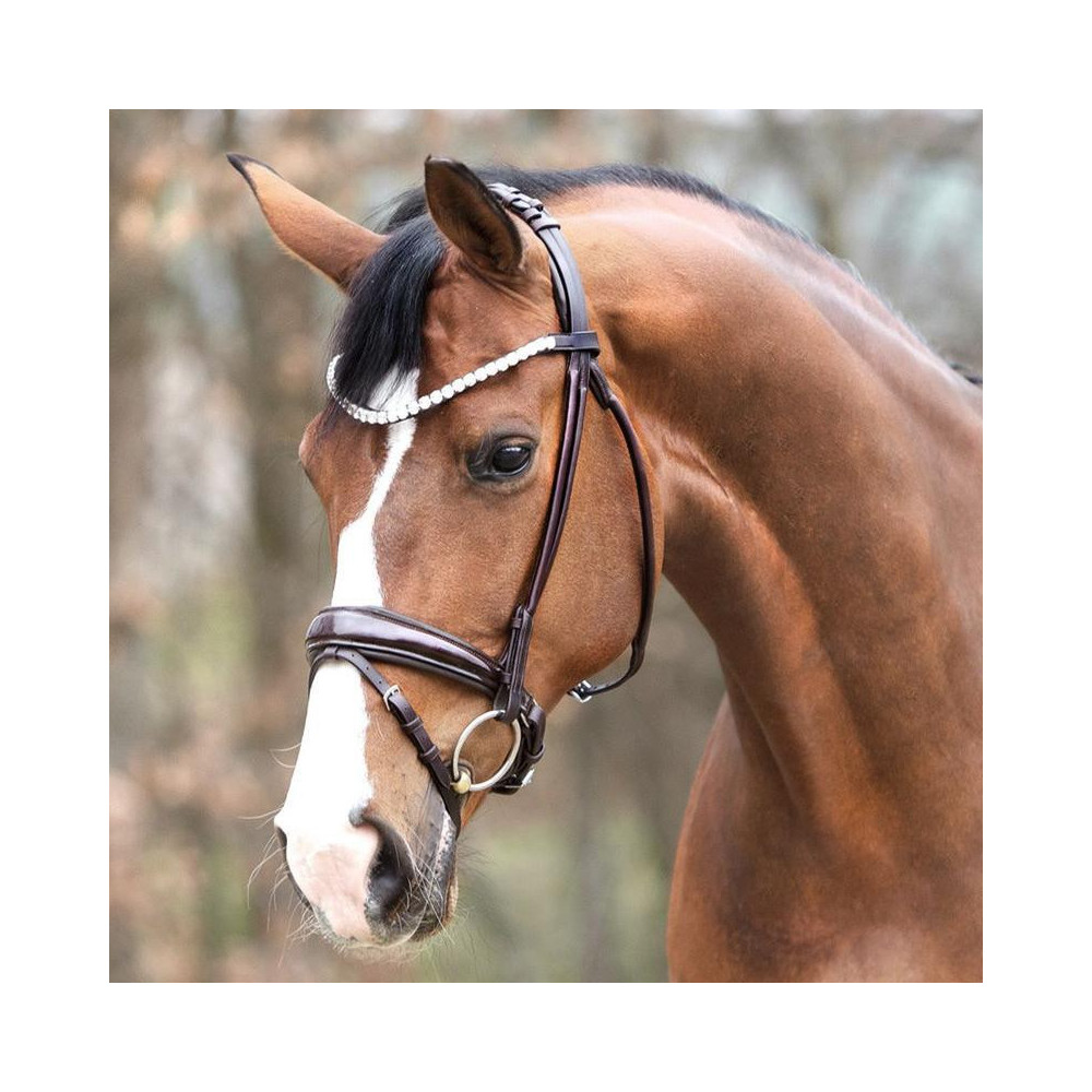 Ogłowie Florina Kavalkade