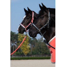 Kantar Double Pin Classic Sports 25 Eskadron