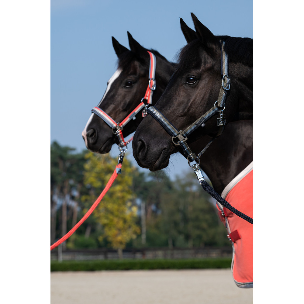 Kantar Double Pin Classic Sports 25 Eskadron