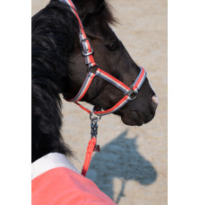 Kantar Double Pin Classic Sports 25 Eskadron