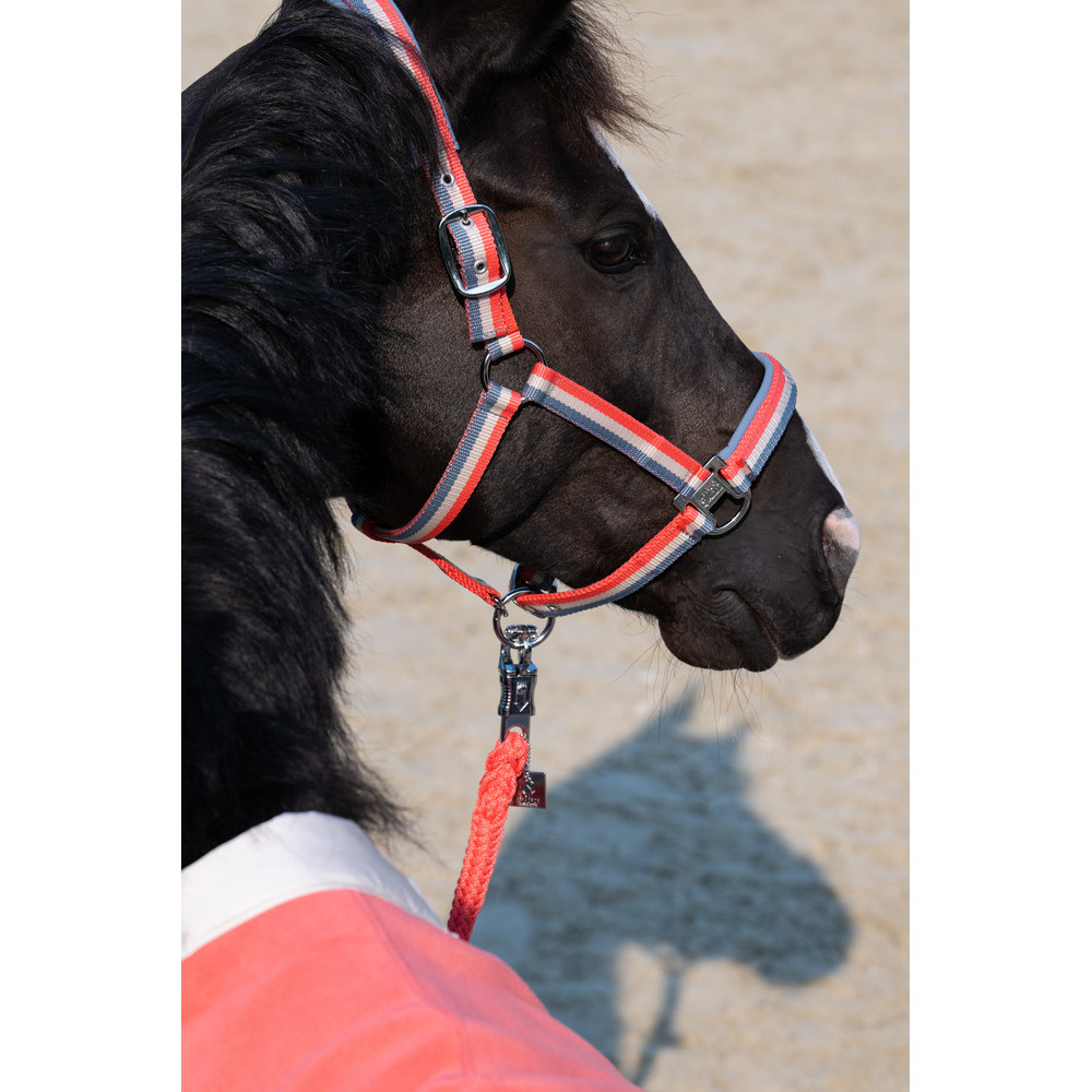 Kantar Double Pin Classic Sports 25 Eskadron