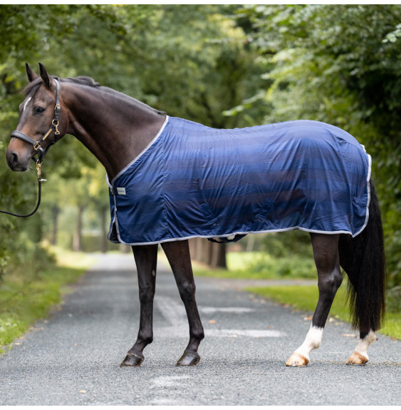 Derka Siatkowa Stripe Kavalkade