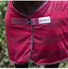 Derka Siatkowa Stripe Kavalkade