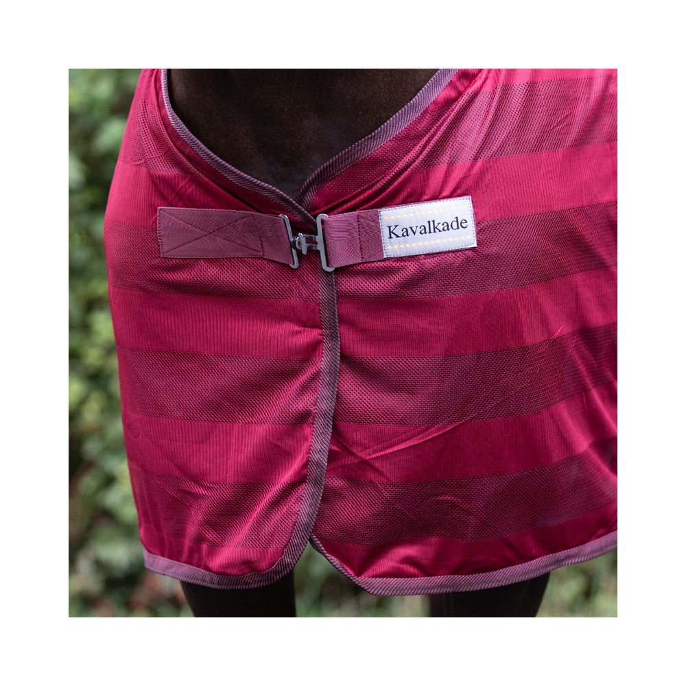 Derka Siatkowa Stripe Kavalkade