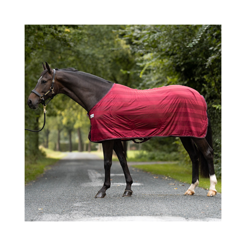 Derka Siatkowa Stripe Kavalkade