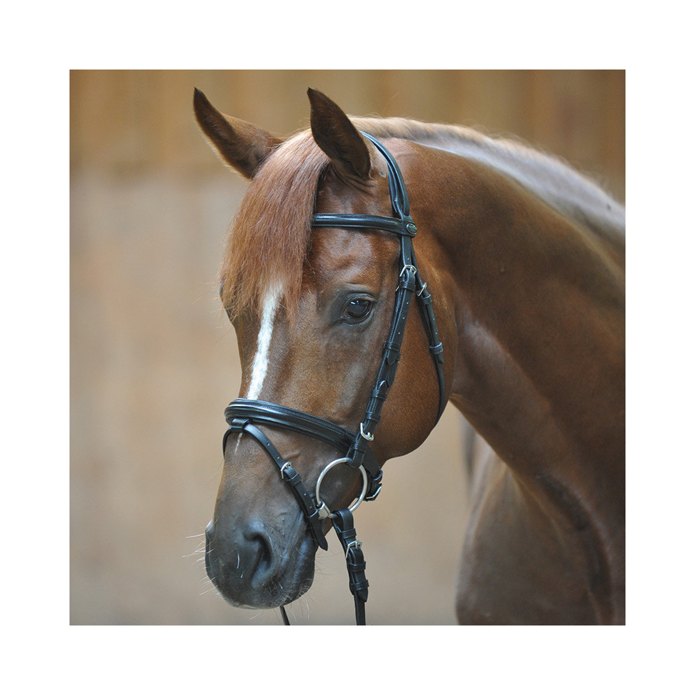 Ogłowie Quentin Shetty Black Kavalkade