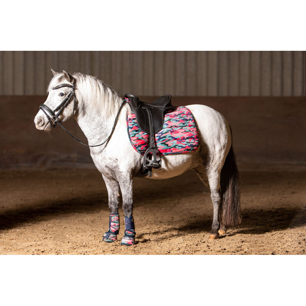 Czaprak Diva Camo Harry's Horse