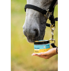 Krem Przeciwsłoneczny Dla Koni ParaSun Doctor Horse