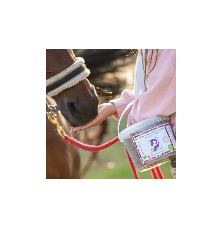 Ciasteczka na Kaszel Końska Cukierenka