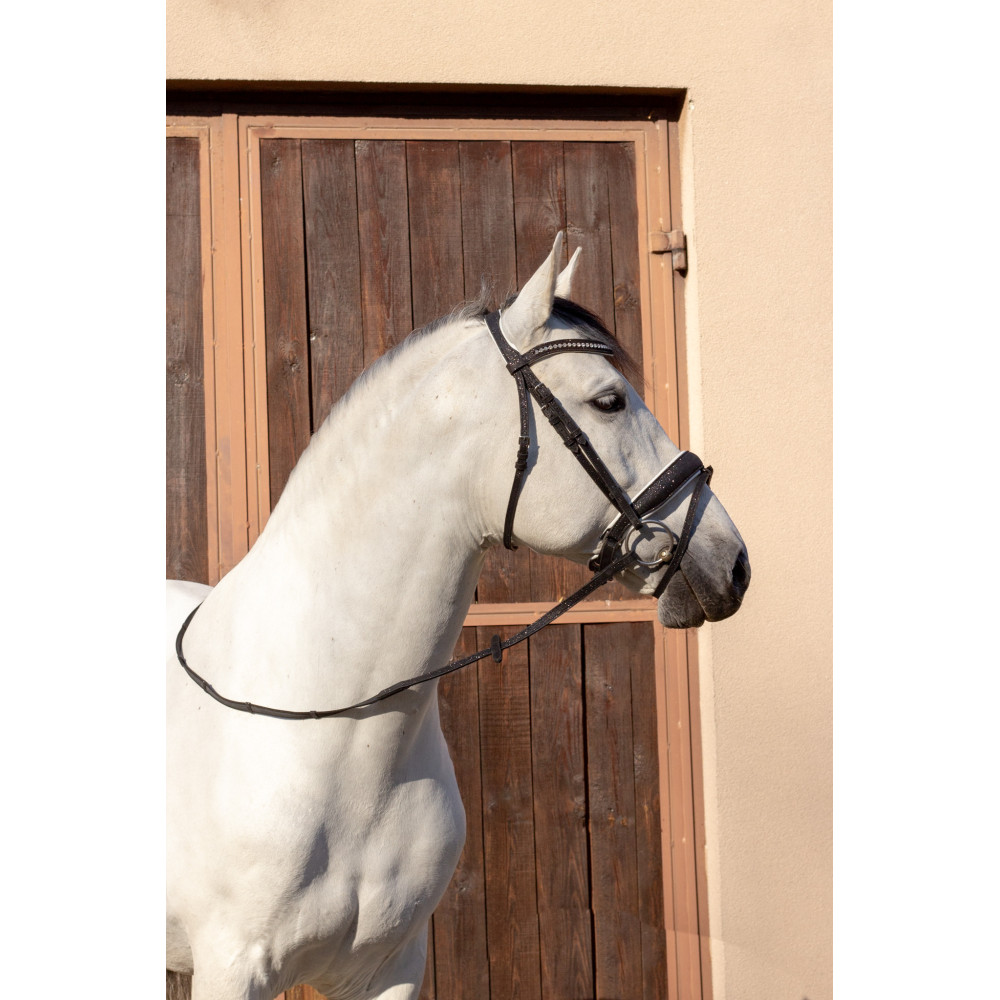 Brokatowe Ogłowie Glitter Black Savio