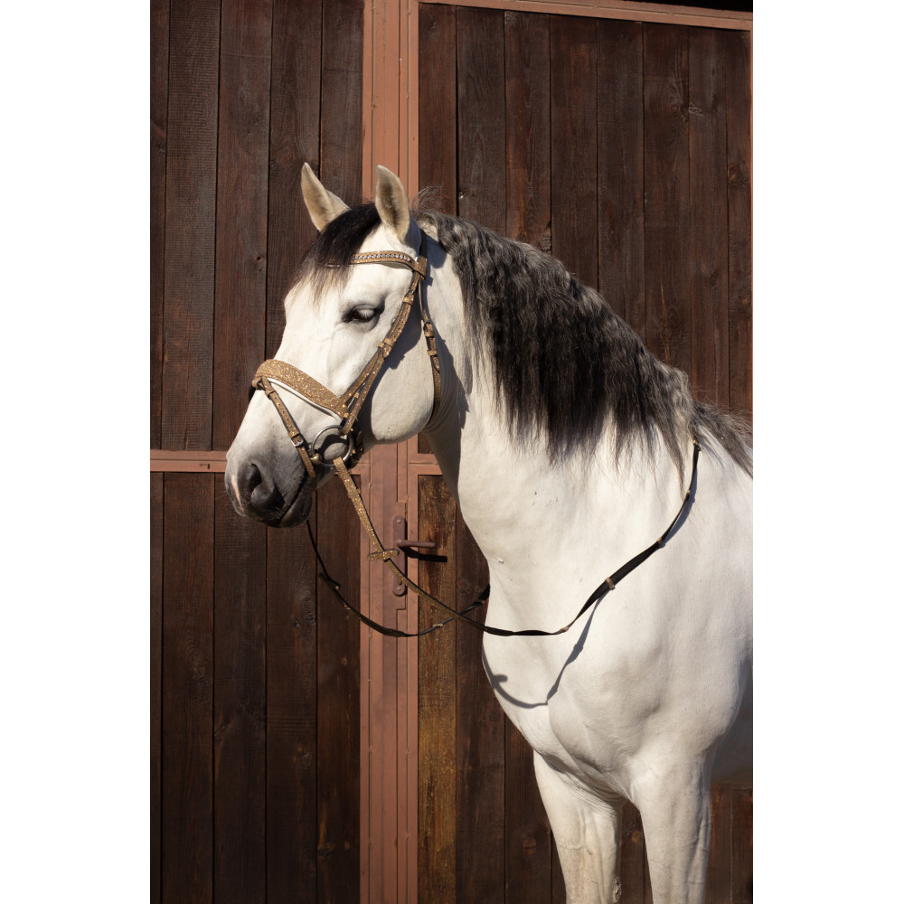 Brokatowe Ogłowie Glitter Gold Savio