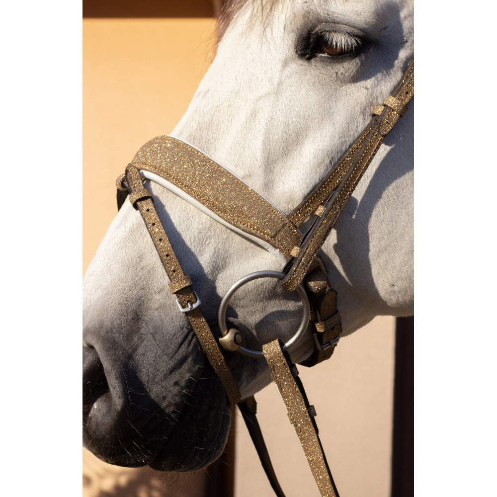 Brokatowe Ogłowie Glitter Gold Savio