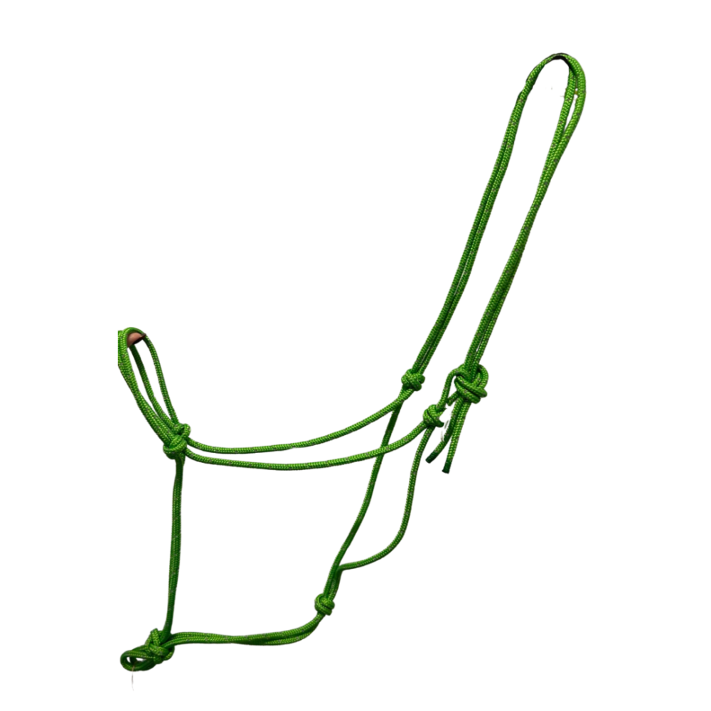 Halter Lime Favori Pet Shop